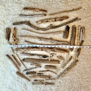 Driftwood for Crafts Big Collection
